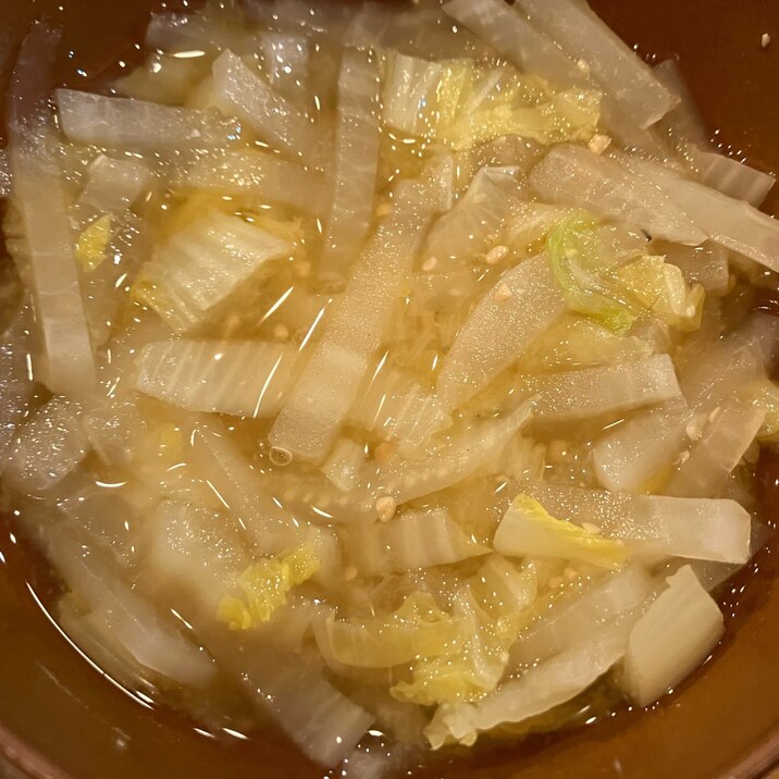 大根と白菜のみそ汁